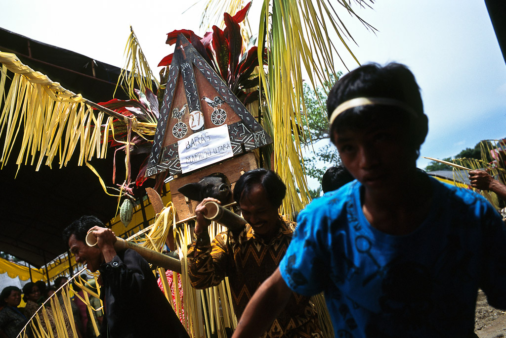 Sulawesi 10