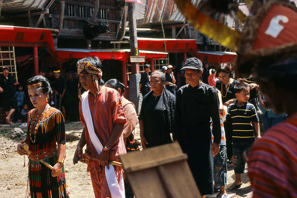 Sulawesi 12