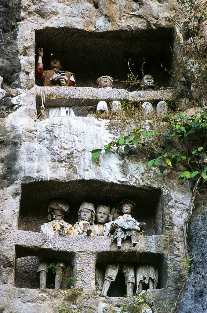 Sulawesi 14