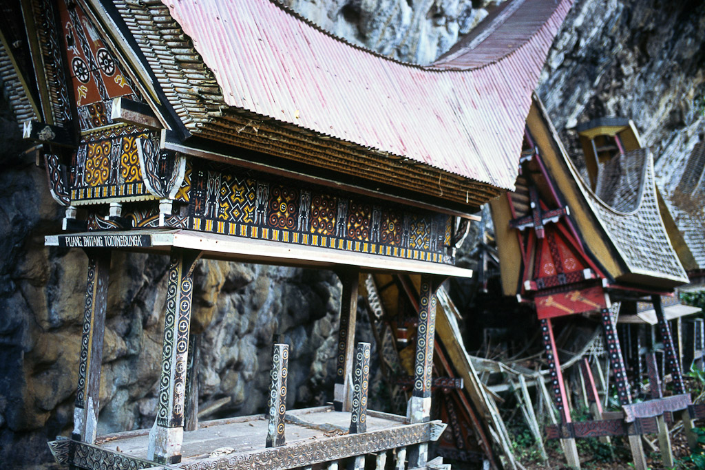 Sulawesi 15