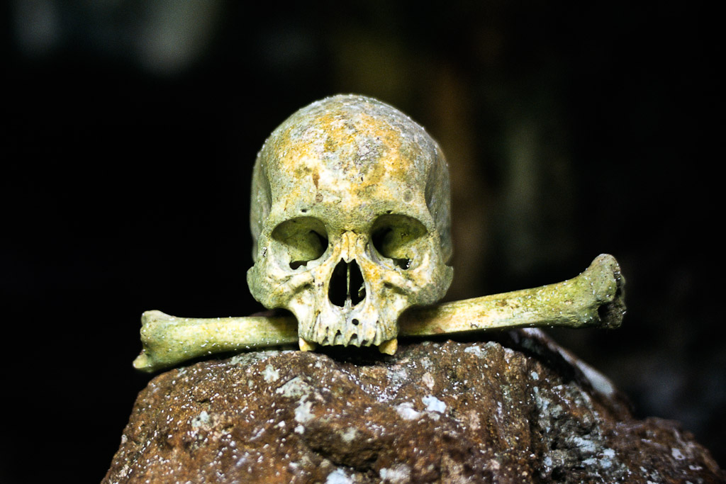 Sulawesi