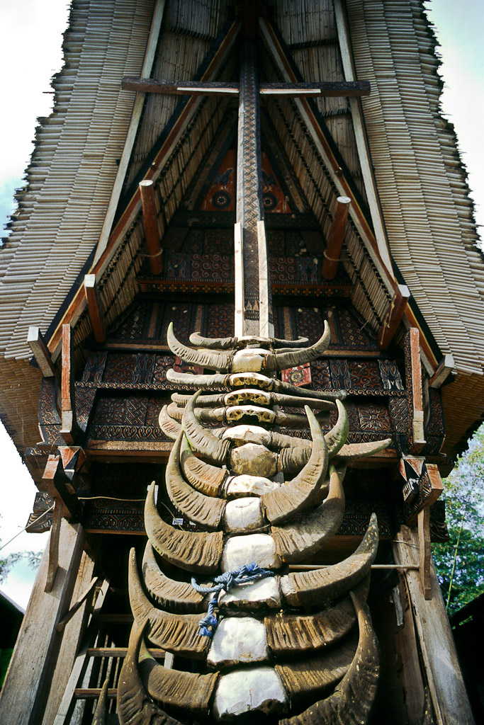 Sulawesi 19