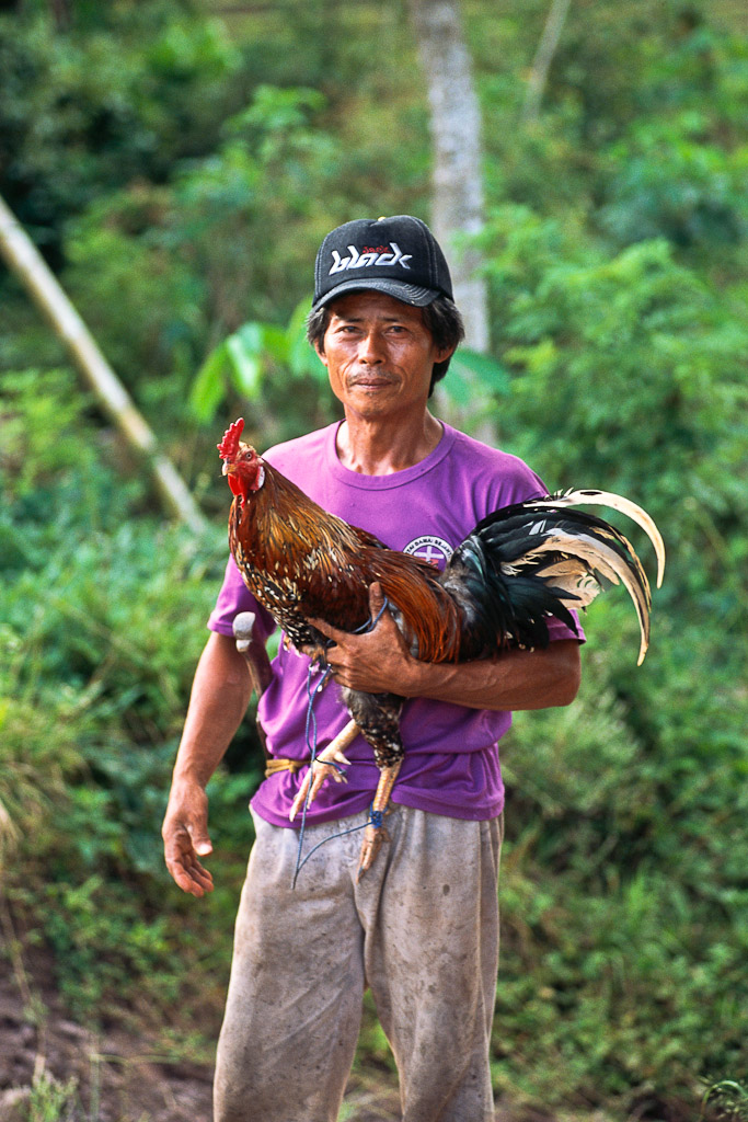 Sulawesi 21