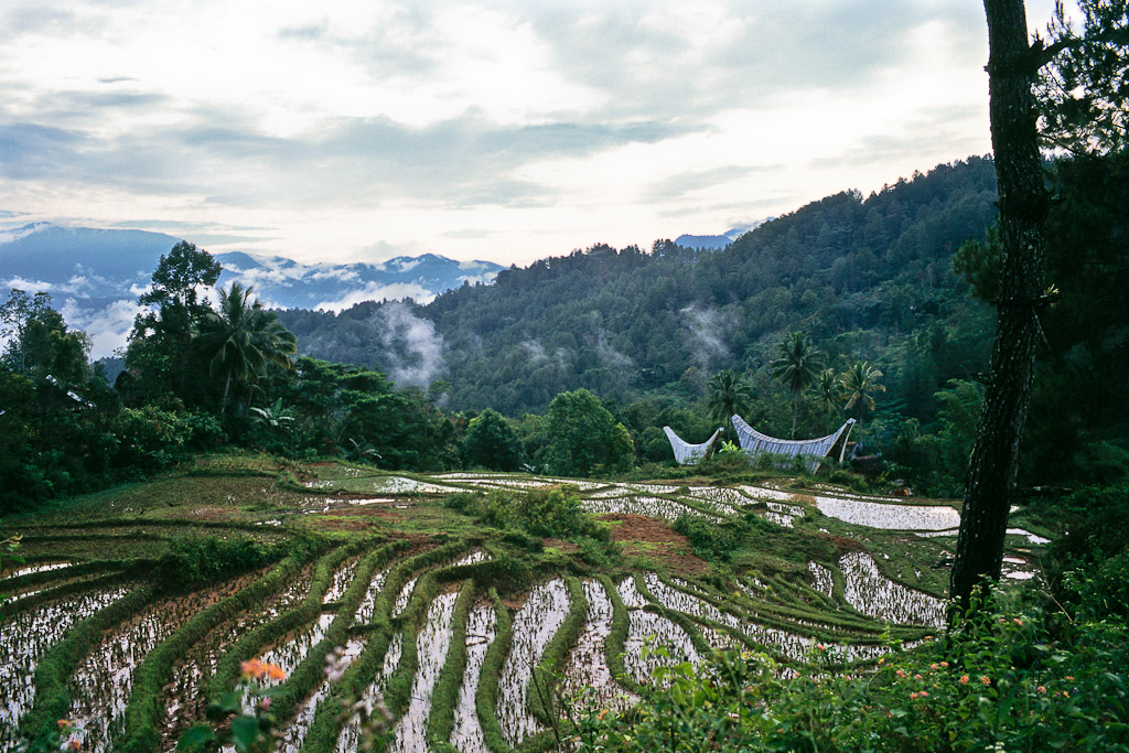 Sulawesi 23