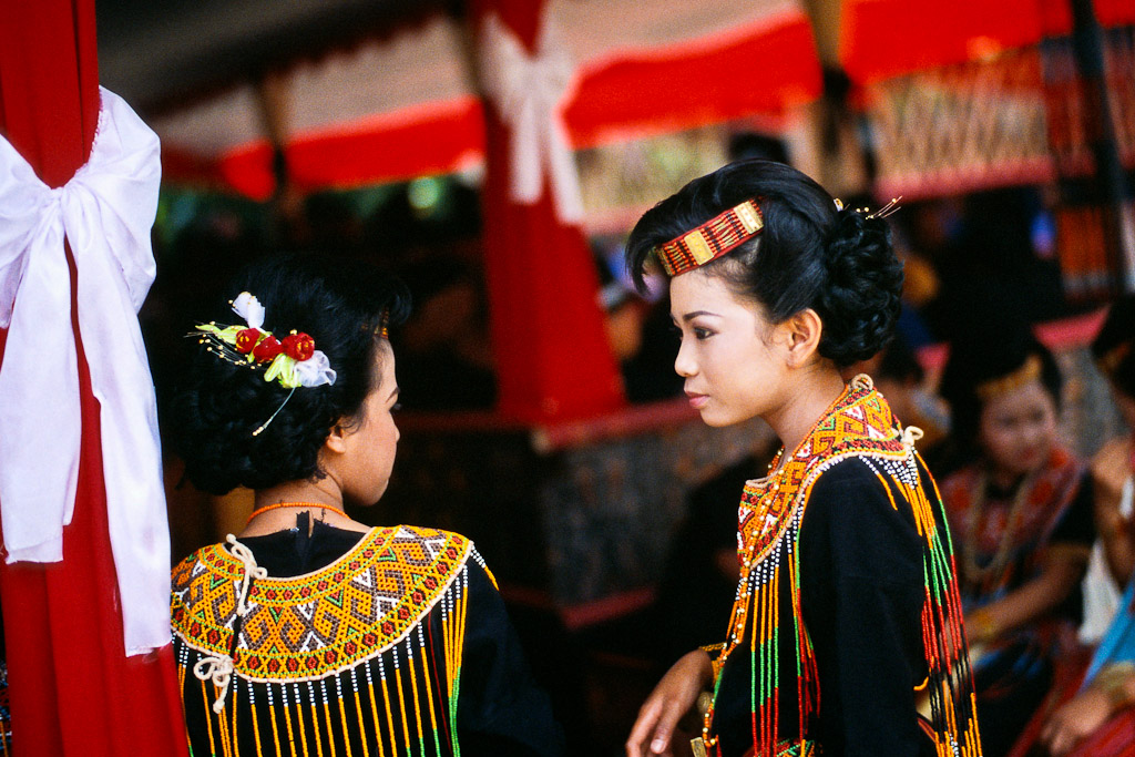 Sulawesi 29