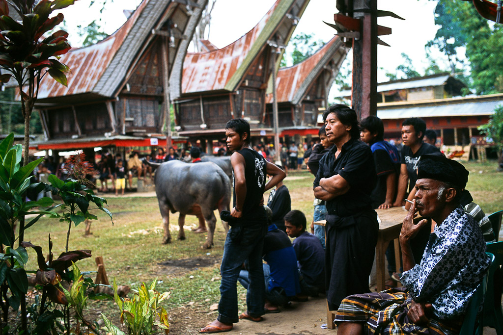 Sulawesi 4