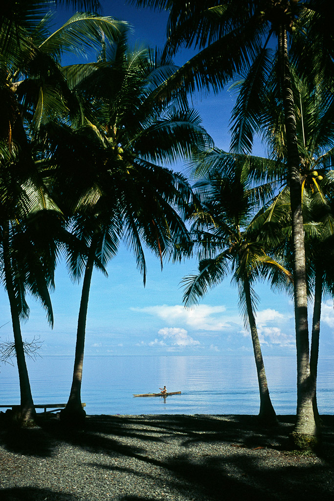 Sulawesi 43
