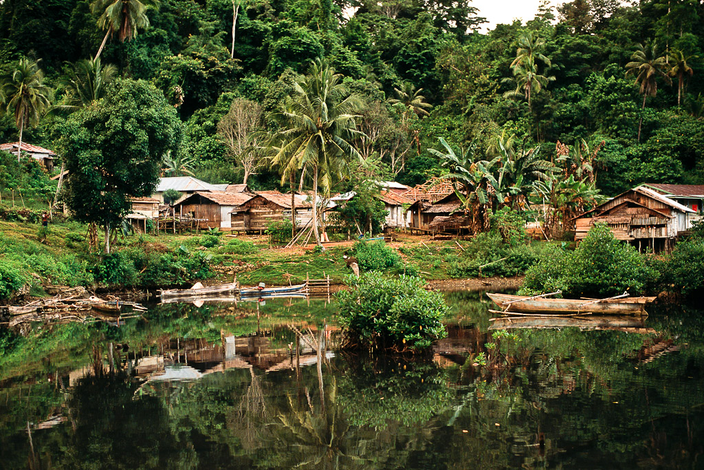 Sulawesi 47