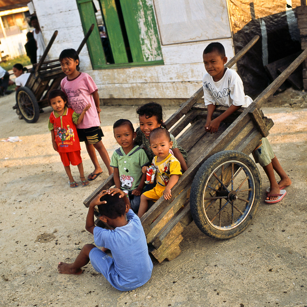 Sulawesi 49