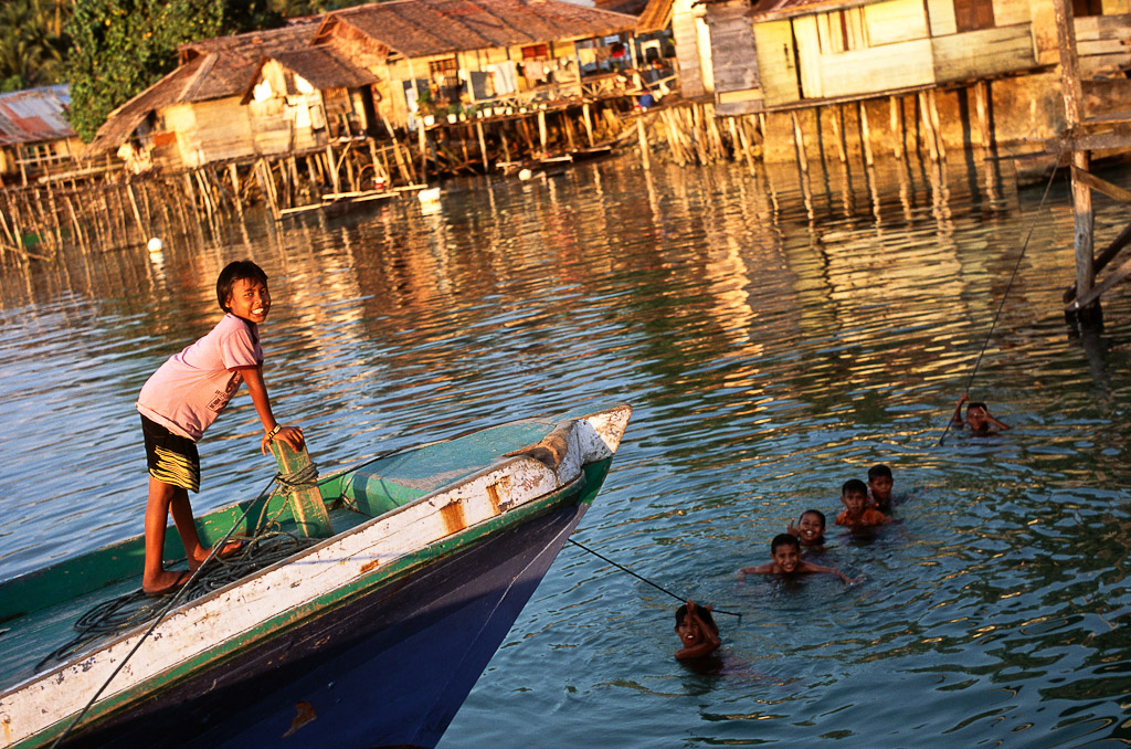 Sulawesi 50