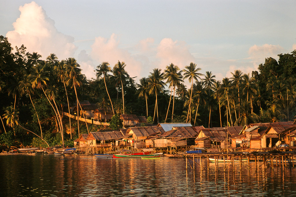 Sulawesi 51