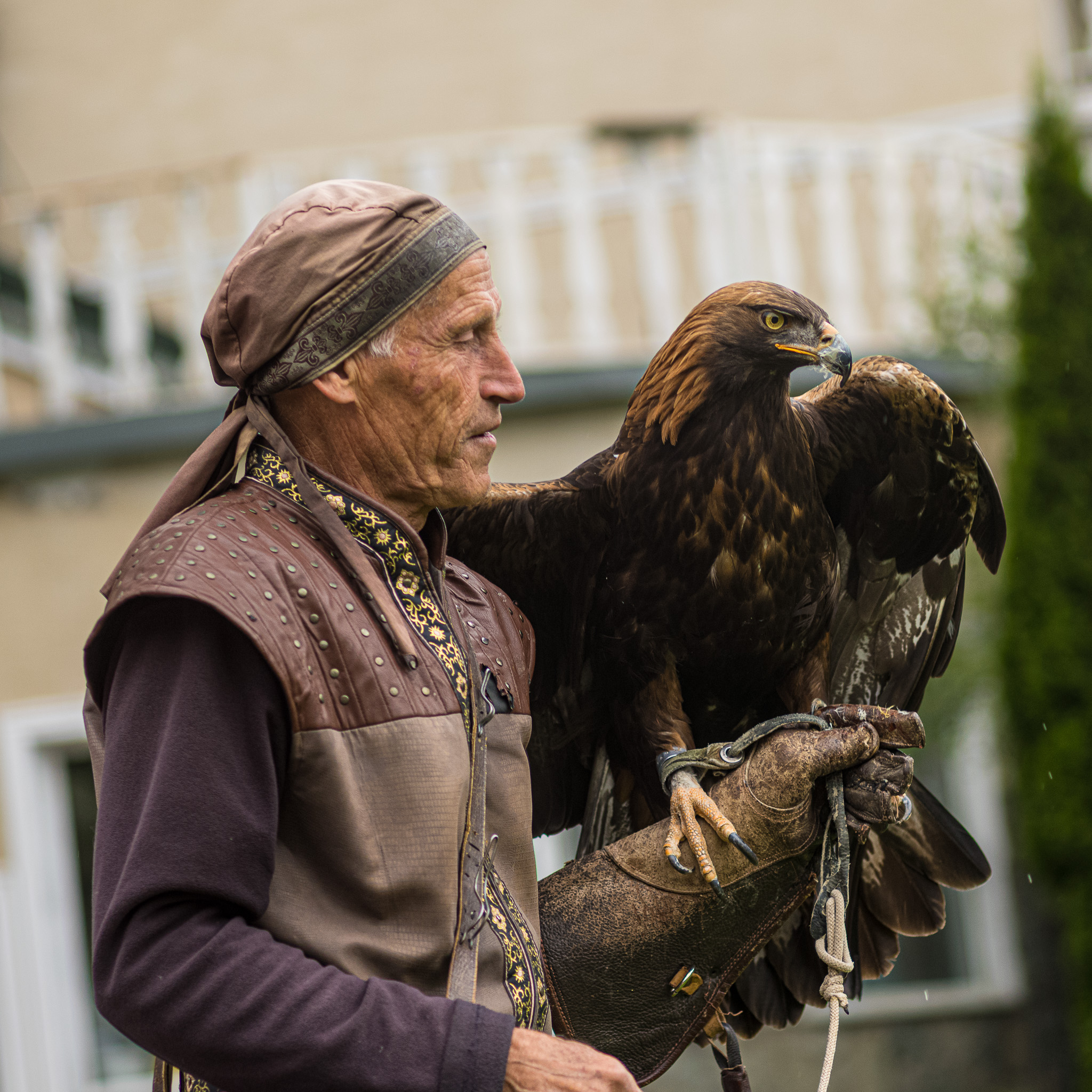 273413