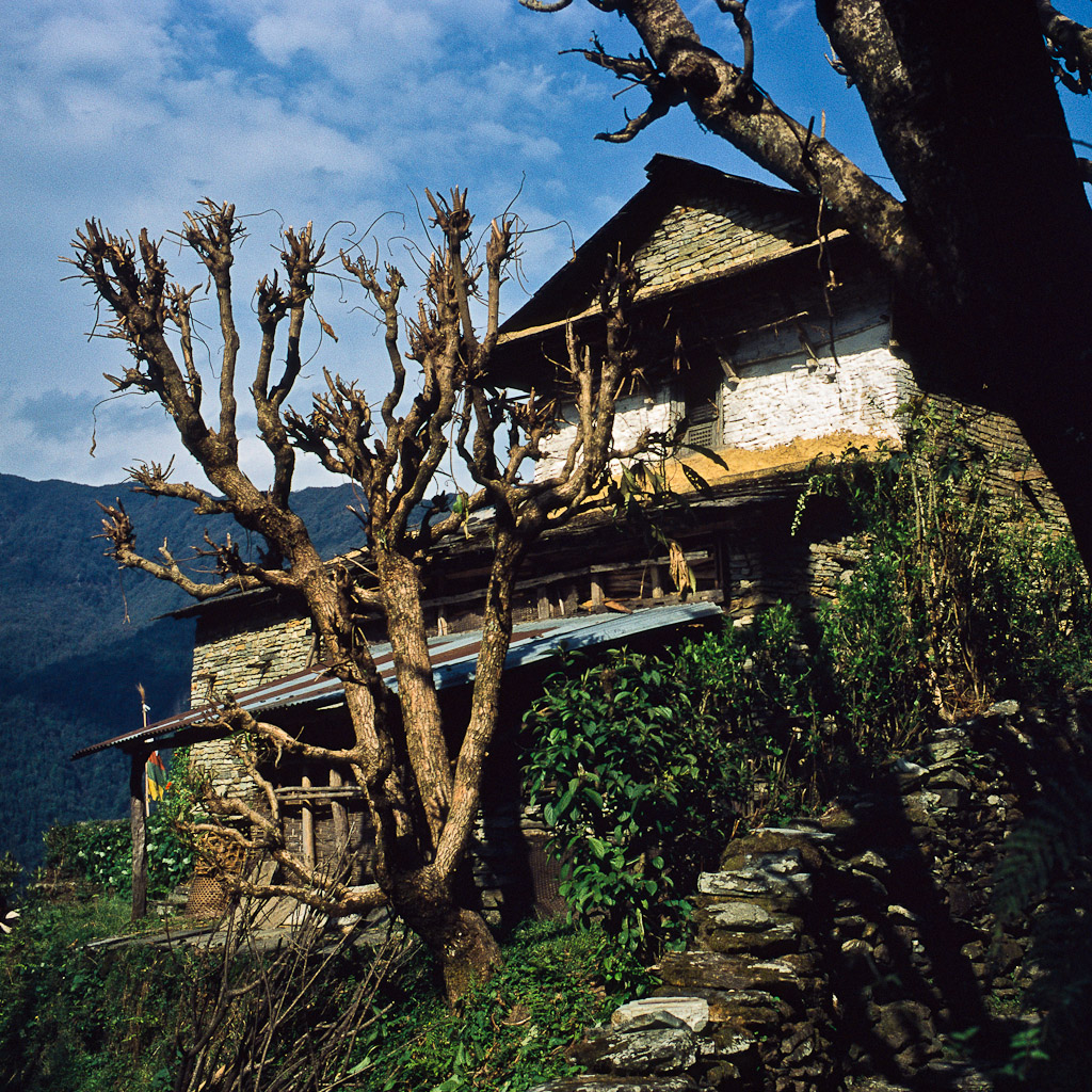 Village de Gandrung