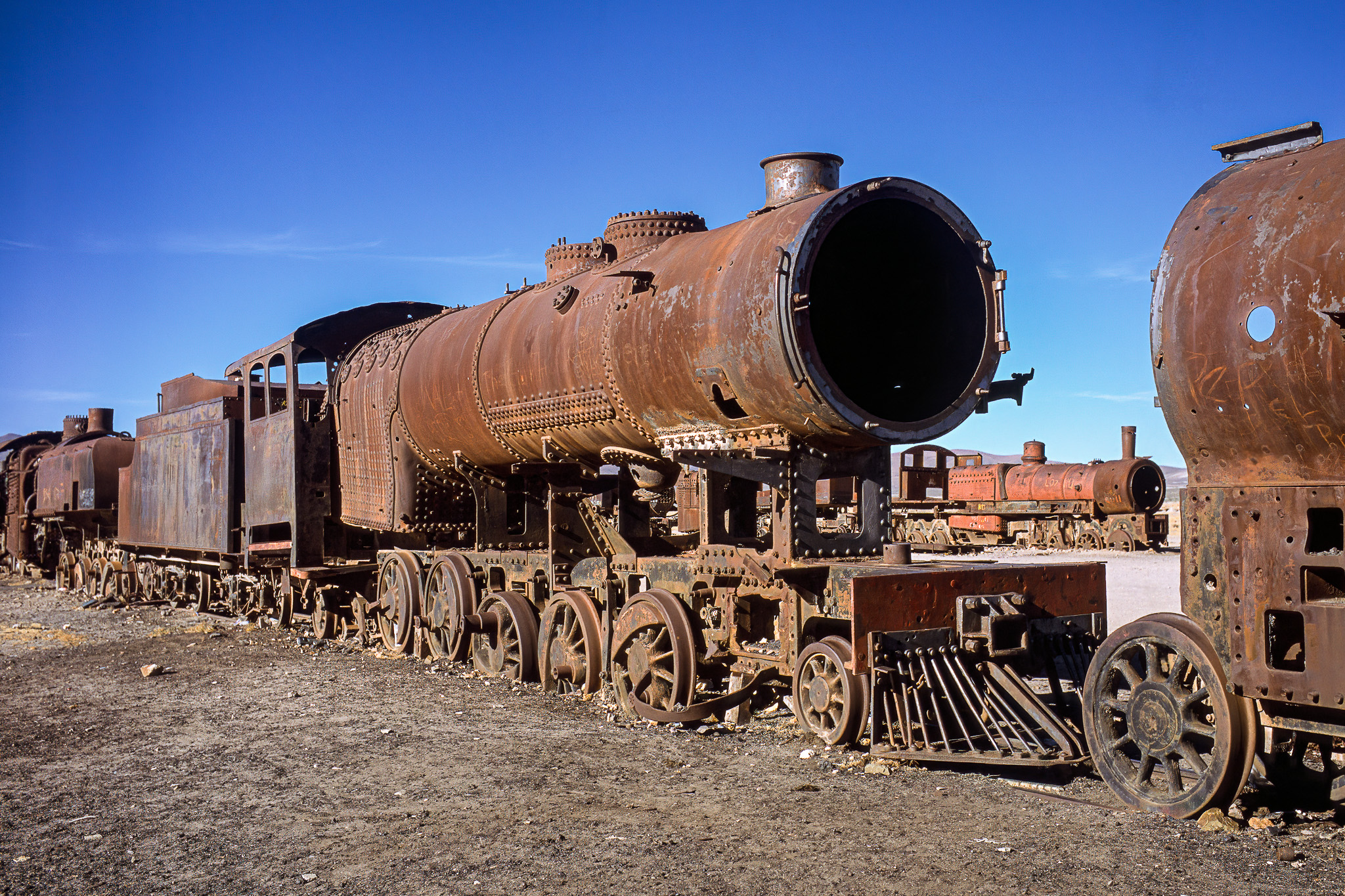 593019